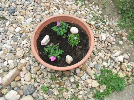 DSCF2820