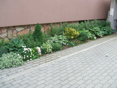 DSCF2828