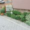 DSCF2829