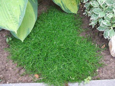 DSCF2831