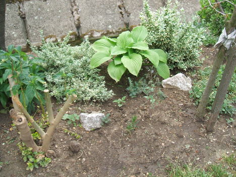 DSCF2835