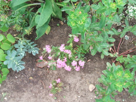 DSCF2839