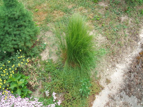 DSCF2847