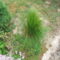 DSCF2847