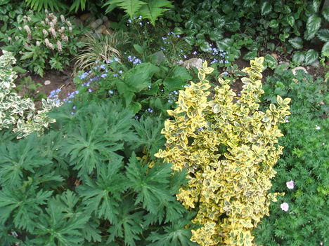 DSCF2852