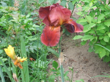 DSCF2869