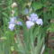 DSCF2870