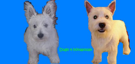 Dugo kozmetika elott es utanna