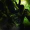 fantasy_hatterkepek127-t1