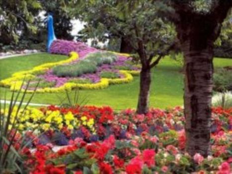 gardenbeautyss