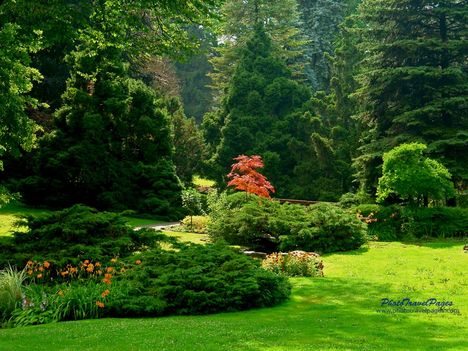 gardens_3