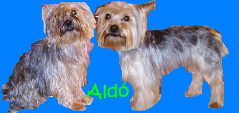 Kozmetika elott es utan Aldo