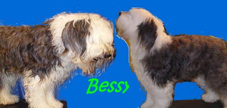 Kozmetika elott es utan Bessy