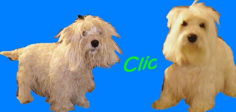 Kozmetika elott es utan Clio