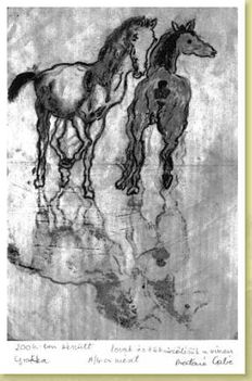 lastscan004