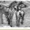 lastscan005
