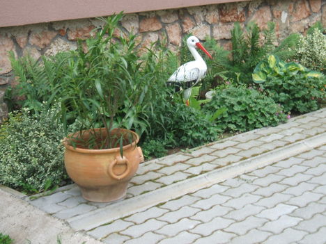 leszállt a gólya