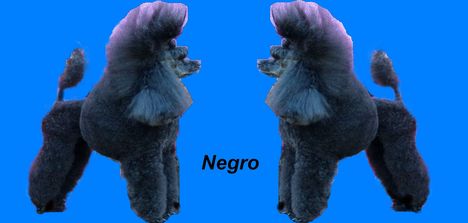 .Negro kozmetika utan