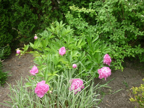 P1040172
