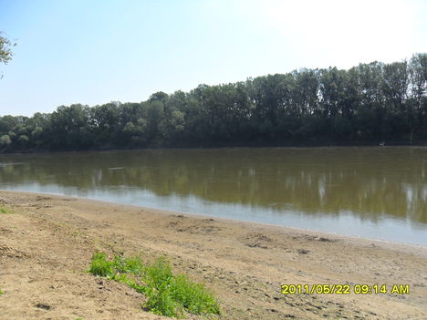 Tisza Nagykörűnél