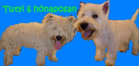 Tutyi 6 honaposan Kozmetika elott es utan