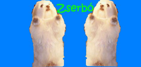 zserbo+