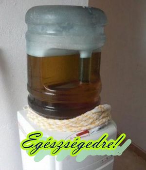 krigli sörrel