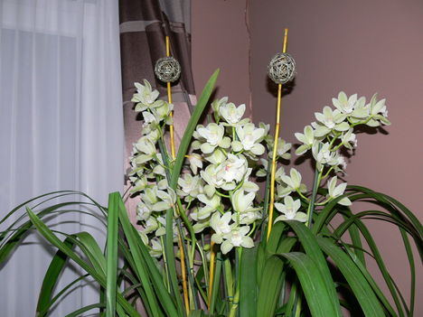 P1000025
