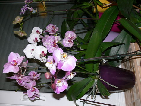 P1000054