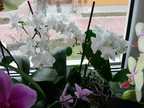 P1000056