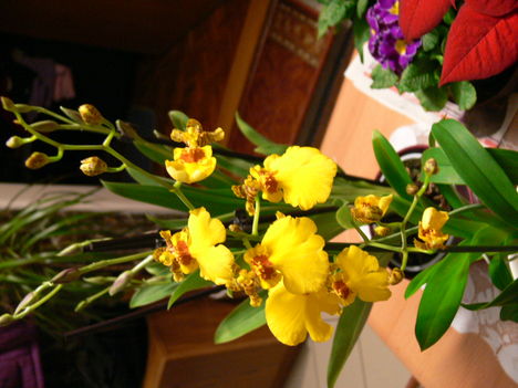 P1000062