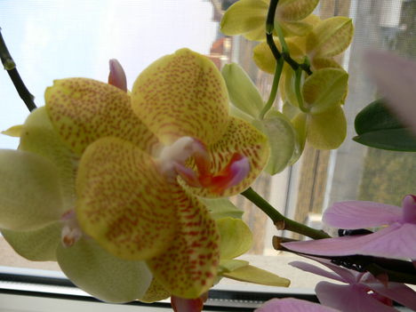 P1000099