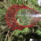 DSCF0850