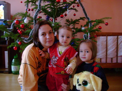KARACSONY FA MELLET