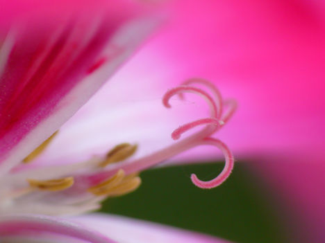P1550751a