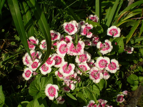 P5120568 25