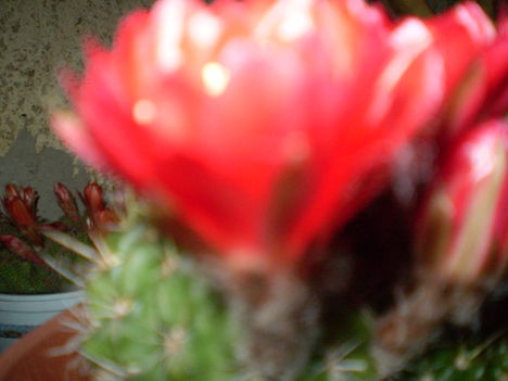 P5120568 9
