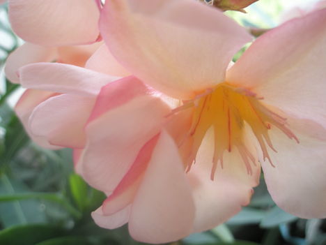 P5300307