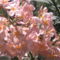 P5300322