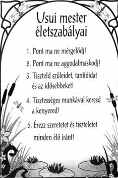 Reikie,usui_mester_ajanlasa_a_mindennapokra_225316_62795_n