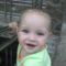 STEFI