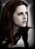 twilight 20