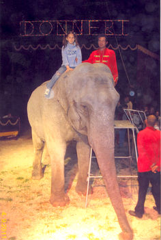 Dorka az elefánt hátán