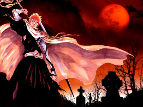 bleach22_2