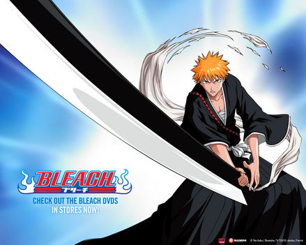 bleach_episodes_1-52_308_1280