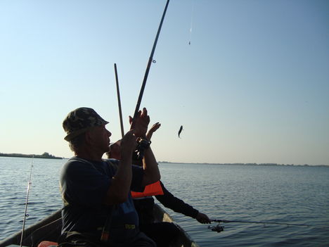 DSC00097