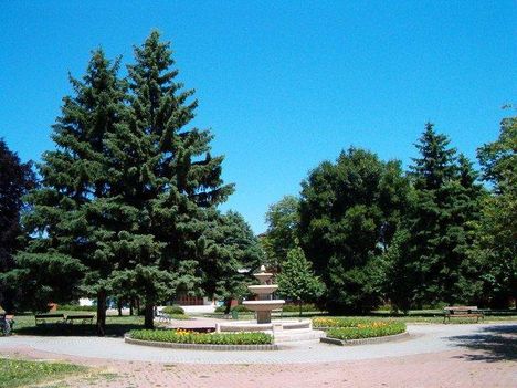 Parki pihenő