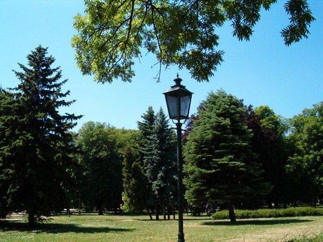 Parkrészlet lámpással