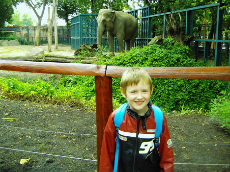 állatkertben