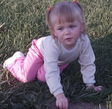 Dorina
